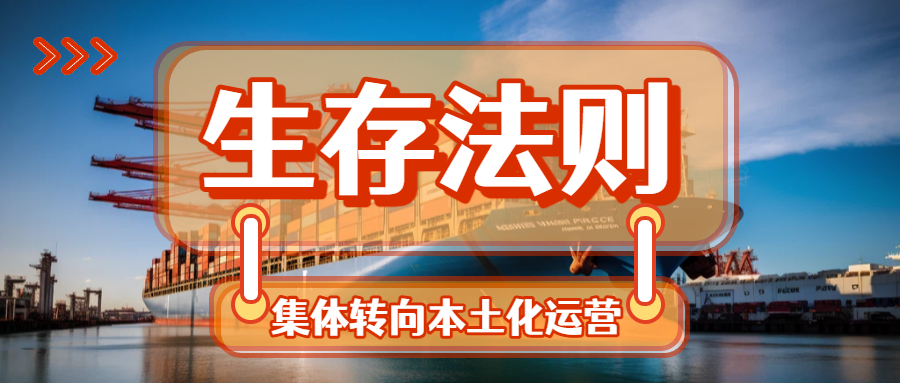 从“卖货”到“本地化生存”的重生之路！谁能拿到新船票？